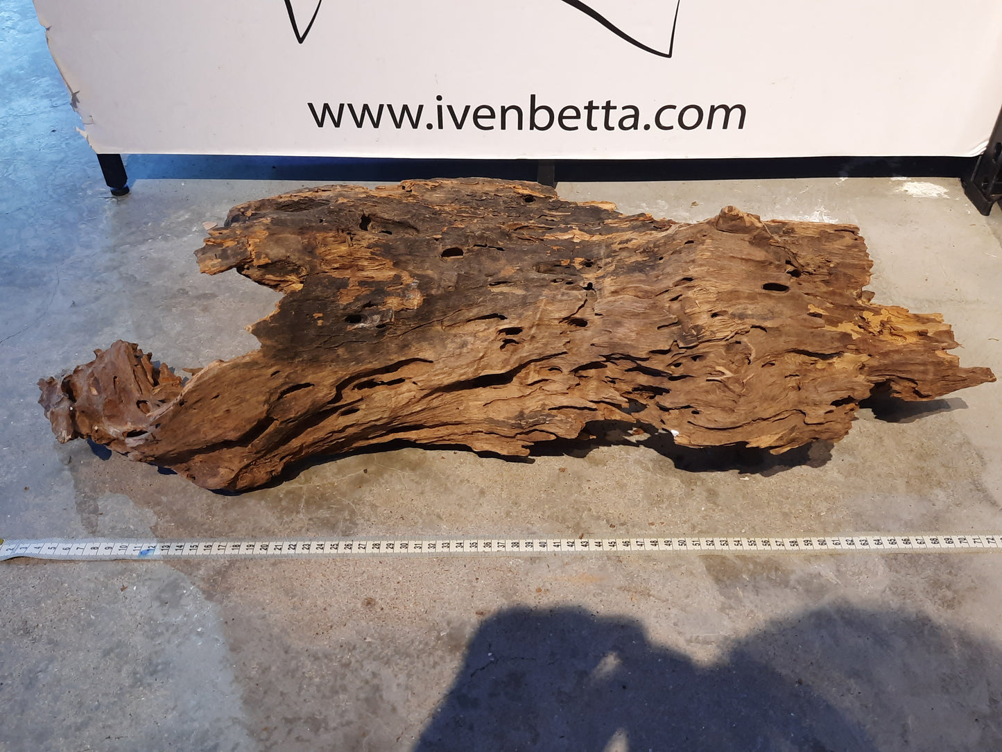 Malaysian Driftwood 'B' by ivenbetta