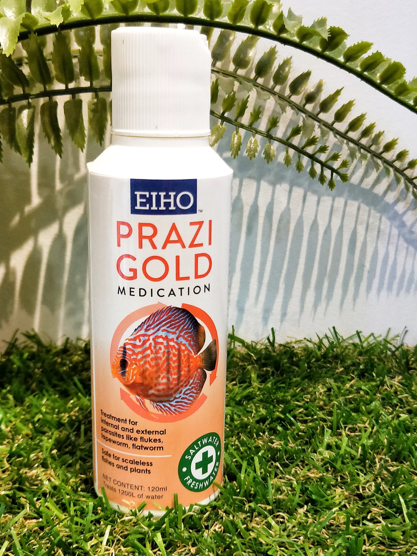 EIHO Prazi Gold by EIHO