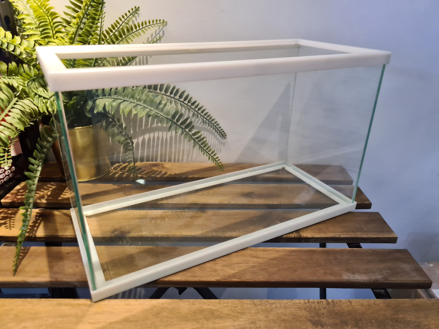 IB Frame Glass Tank by ANS