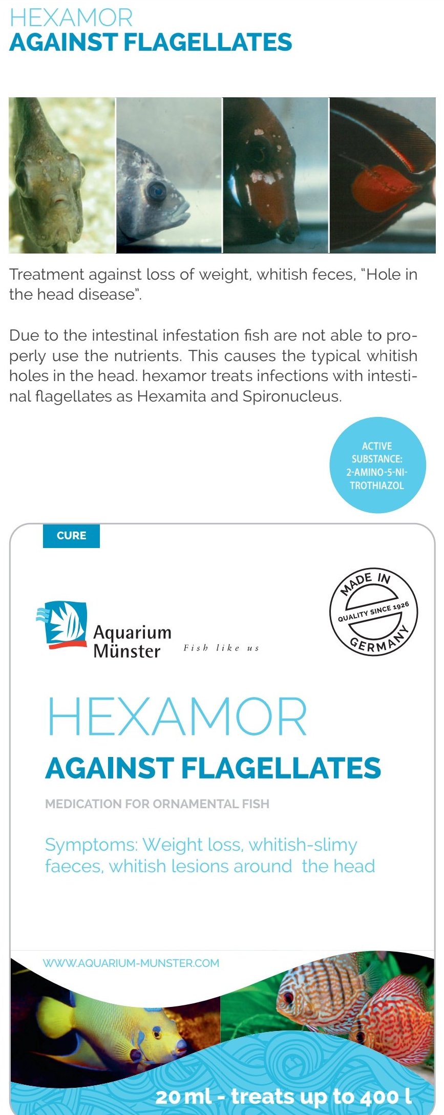 Aquarium Münster HEXAMOR by Aquarium Münster