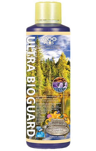Azoo Plus Ultra Bioguard by Iven Betta