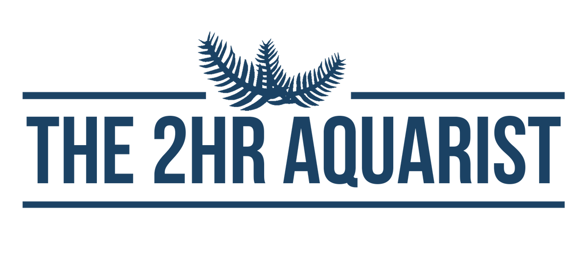 THE 2HR AQUARIST