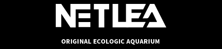 NETLEA