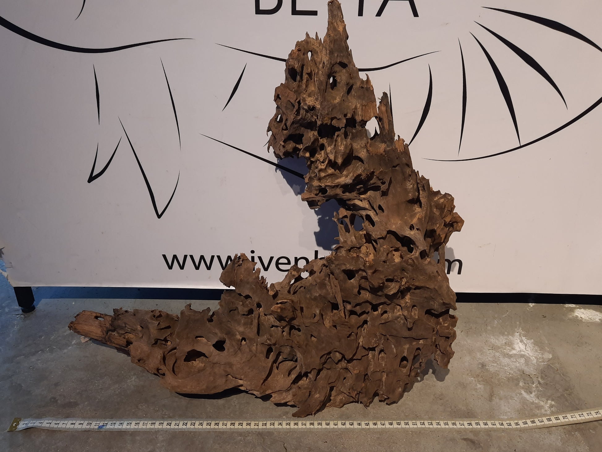 Malaysian Driftwood 'A' by ivenbetta