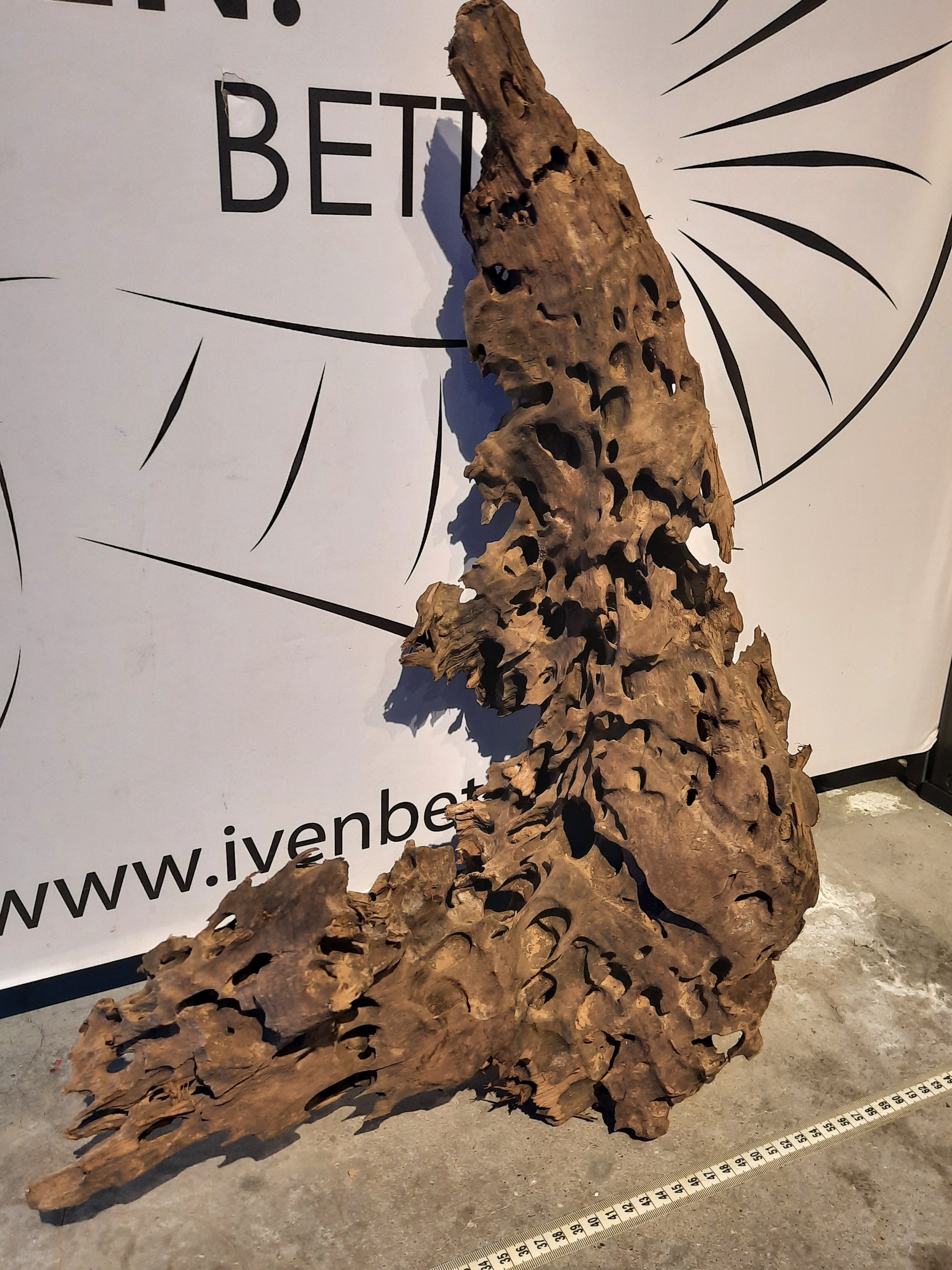 Malaysian Driftwood 'A' by ivenbetta