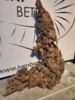 Malaysian Driftwood 'A' by ivenbetta