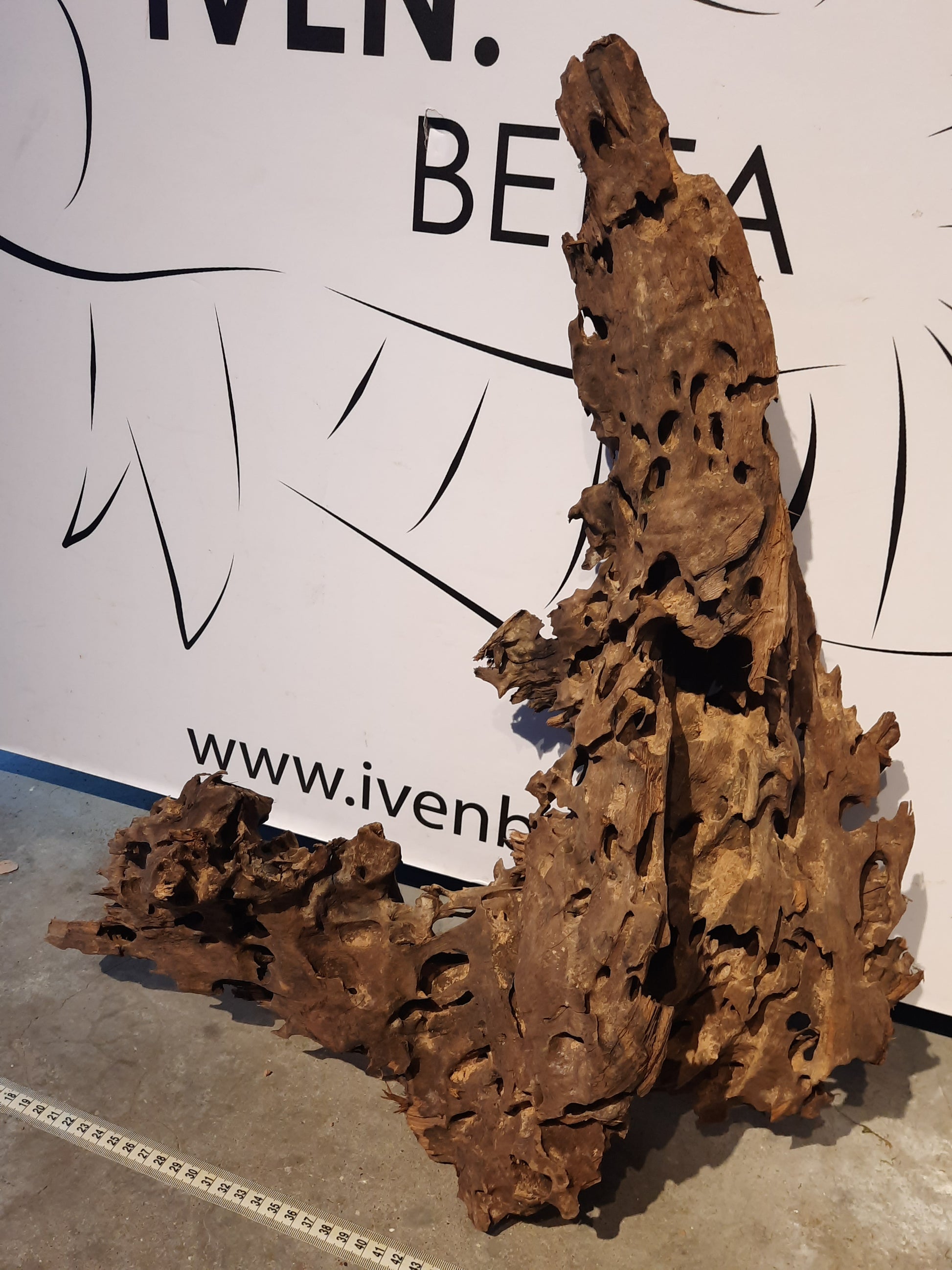 Malaysian Driftwood 'A' by ivenbetta