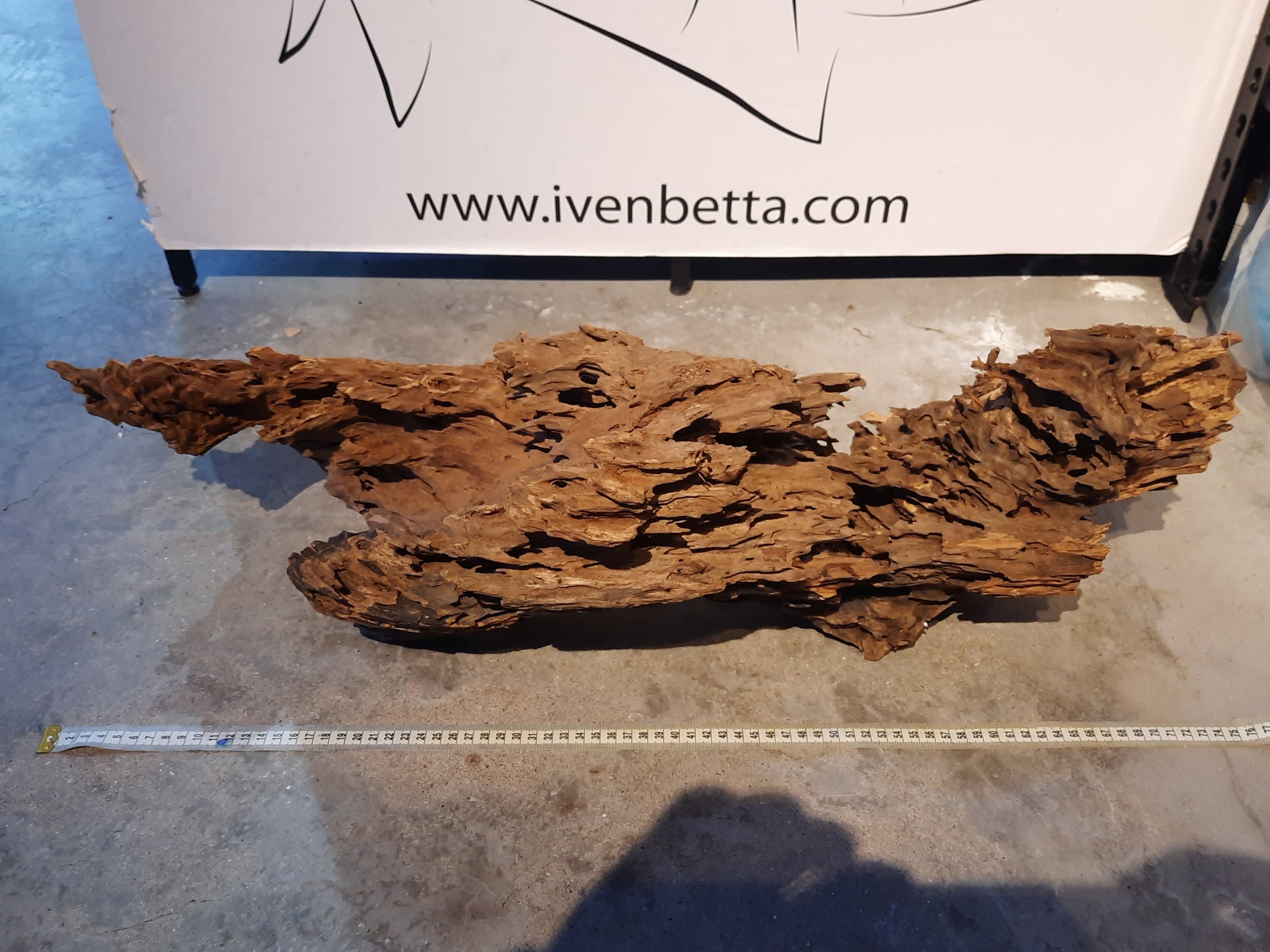 Malaysian Driftwood 'B' by ivenbetta