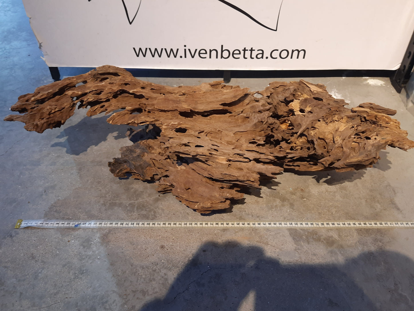 Malaysian Driftwood 'B' by ivenbetta