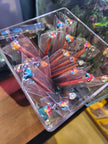 IB AQ - Betta Flare Stick by Iven Betta
