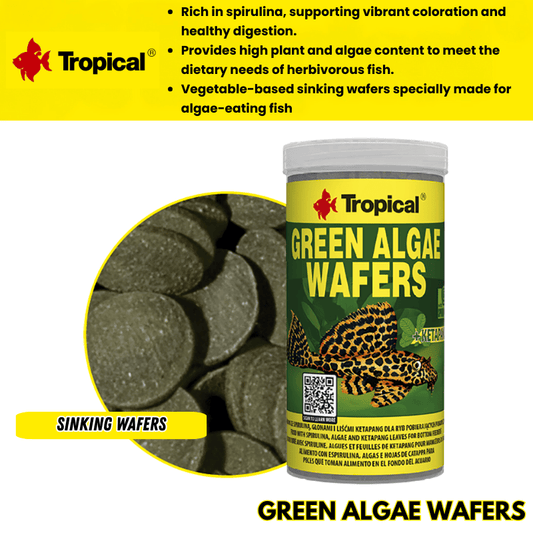 Tropical Green Algae Wafers (boost with spirulina) by ivenbetta