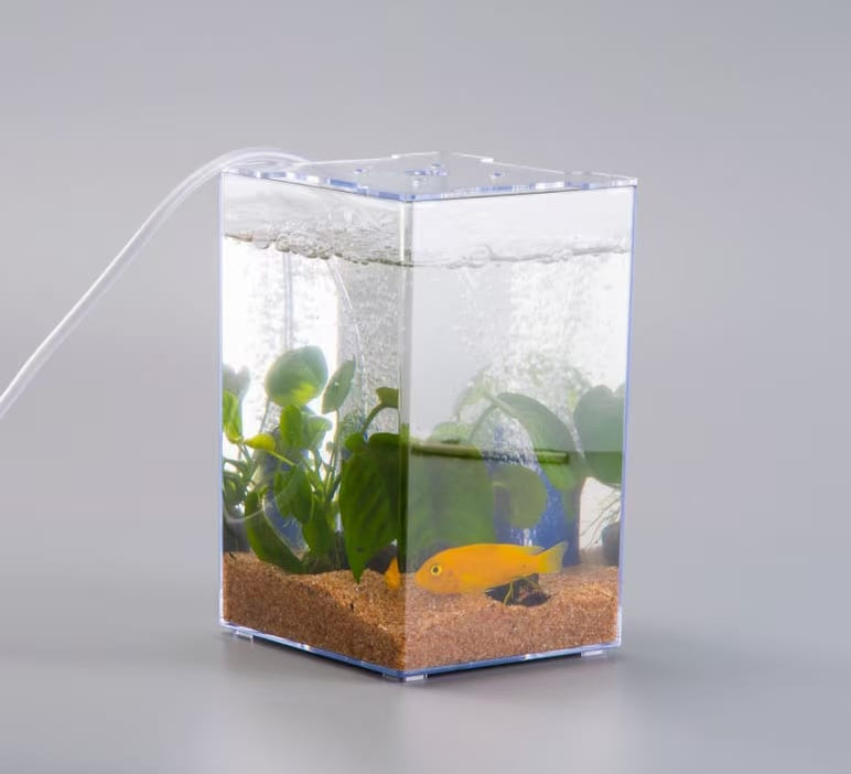 ANS Betta Tank by ANS