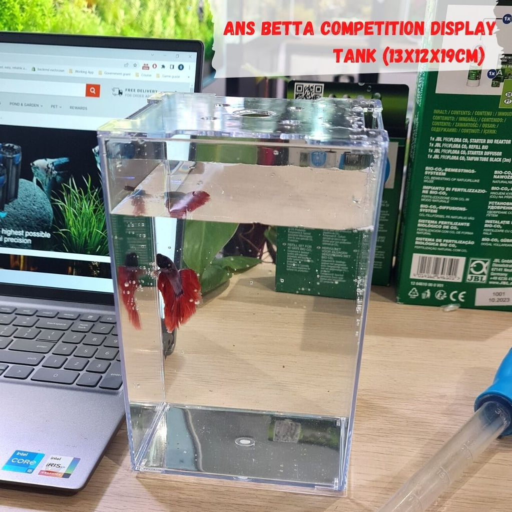 ANS Betta Tank by ANS