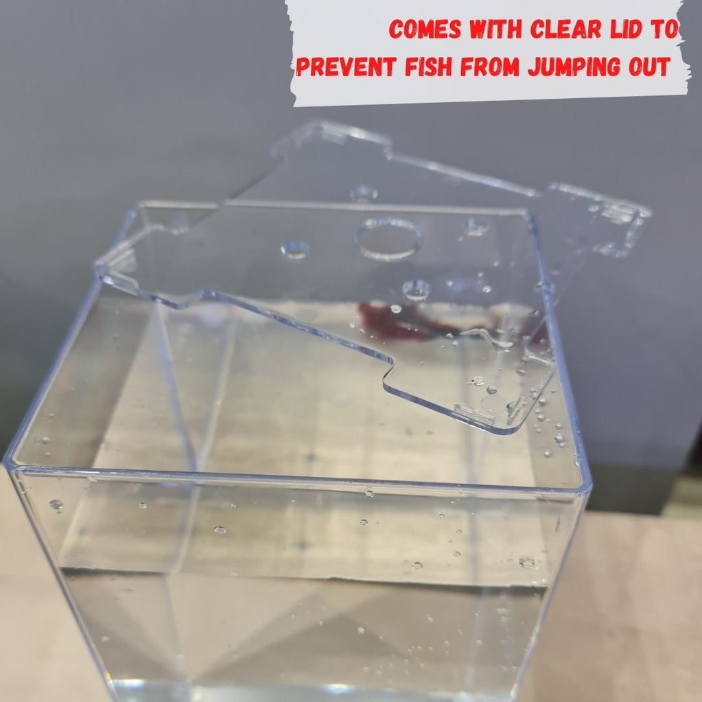ANS Betta Tank by ANS