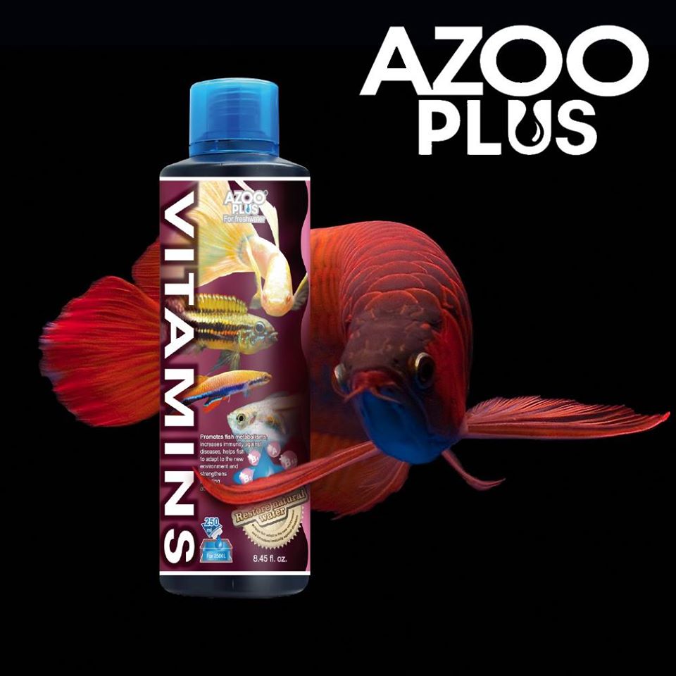 Azoo Plus Vitamins by Iven Betta