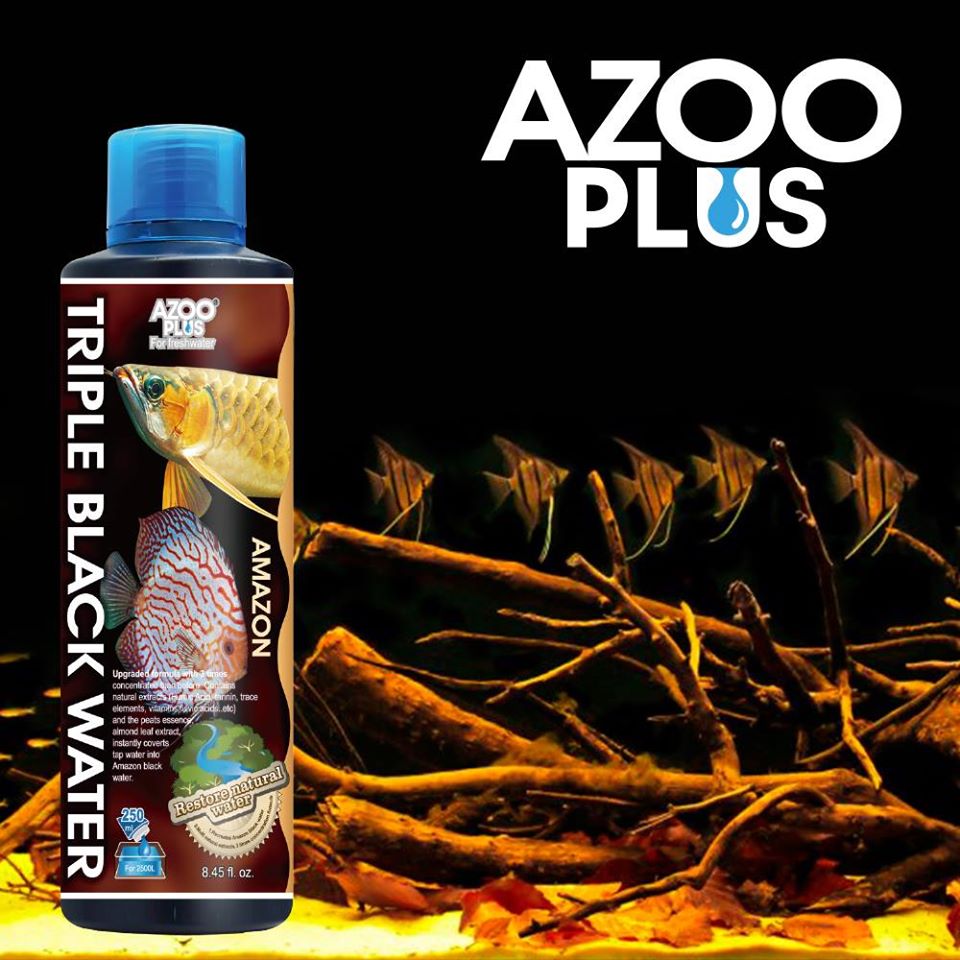 Azoo Plus Triple Black Water by Iven Betta