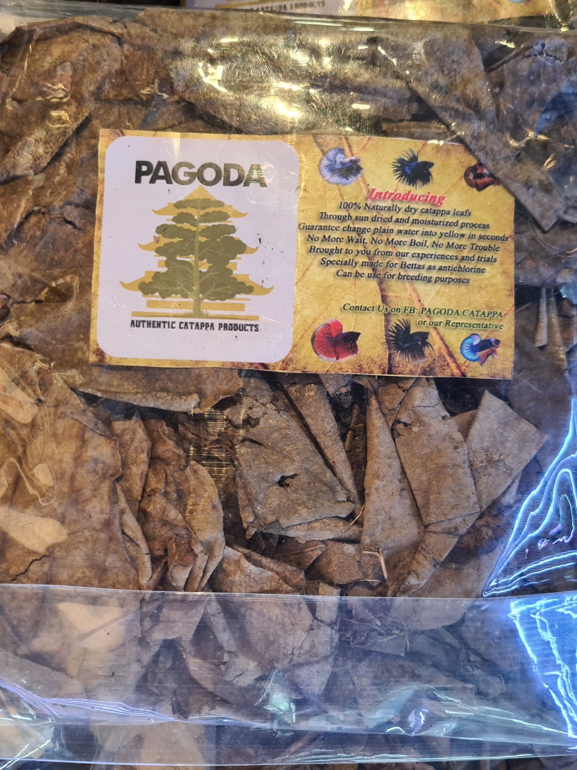 Pagoda - Catappa Leaf (KTP) 100G by Iven Betta