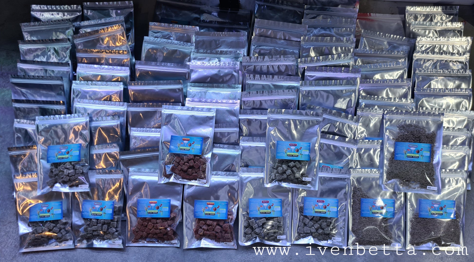 Australian Black Worms - Original (Cube) by Iven Betta