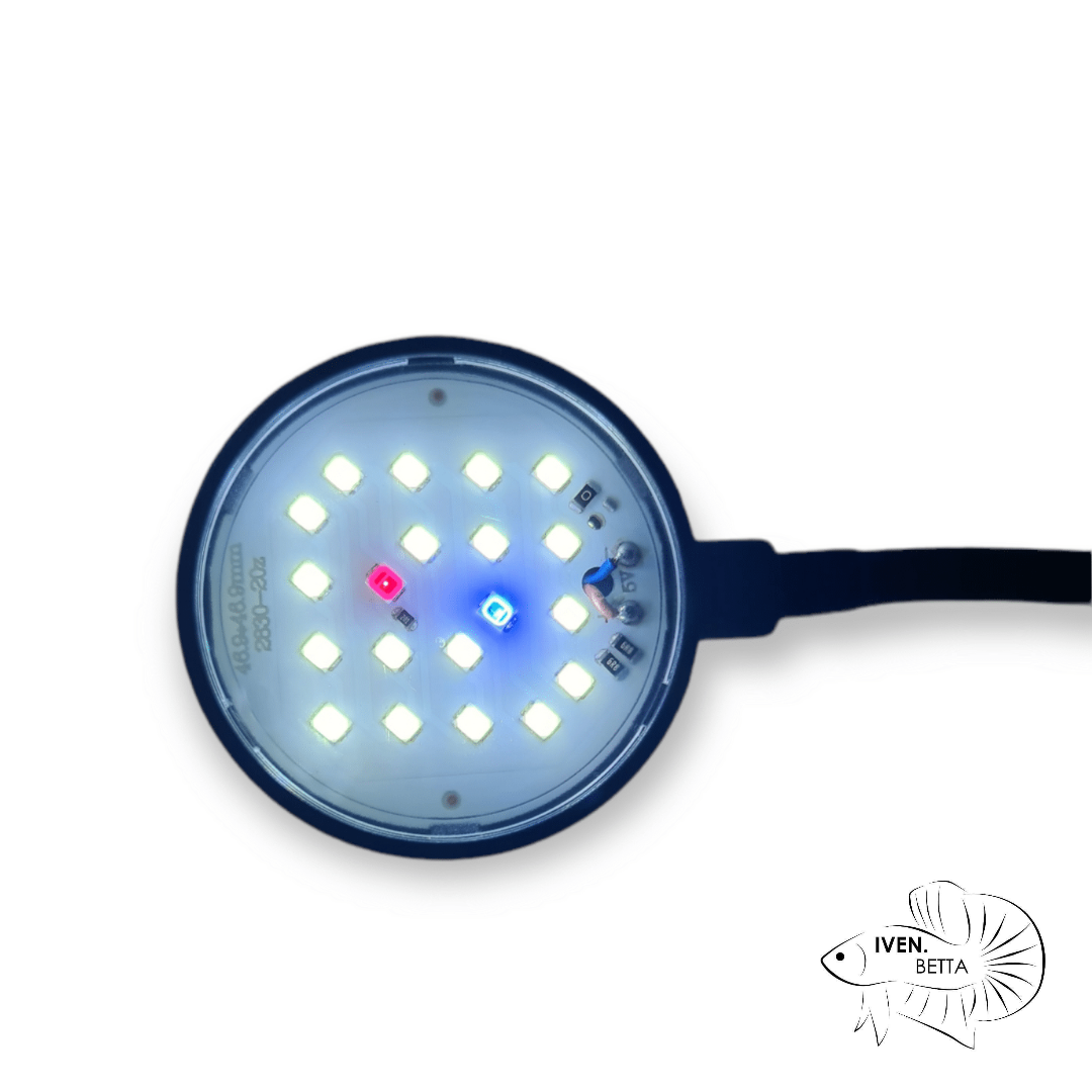 COCO Mini Clip Led Lamp JY-25 by ivenbetta