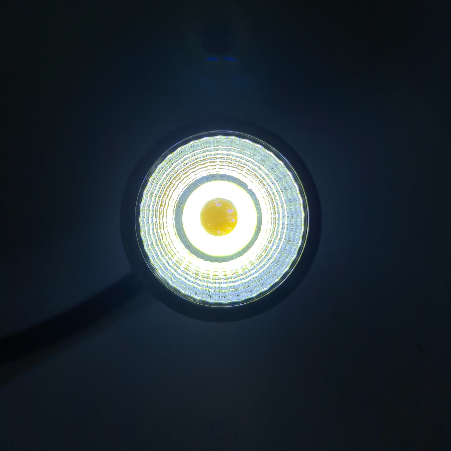 COCO Mini Biotope Led Spotlight by ivenbetta