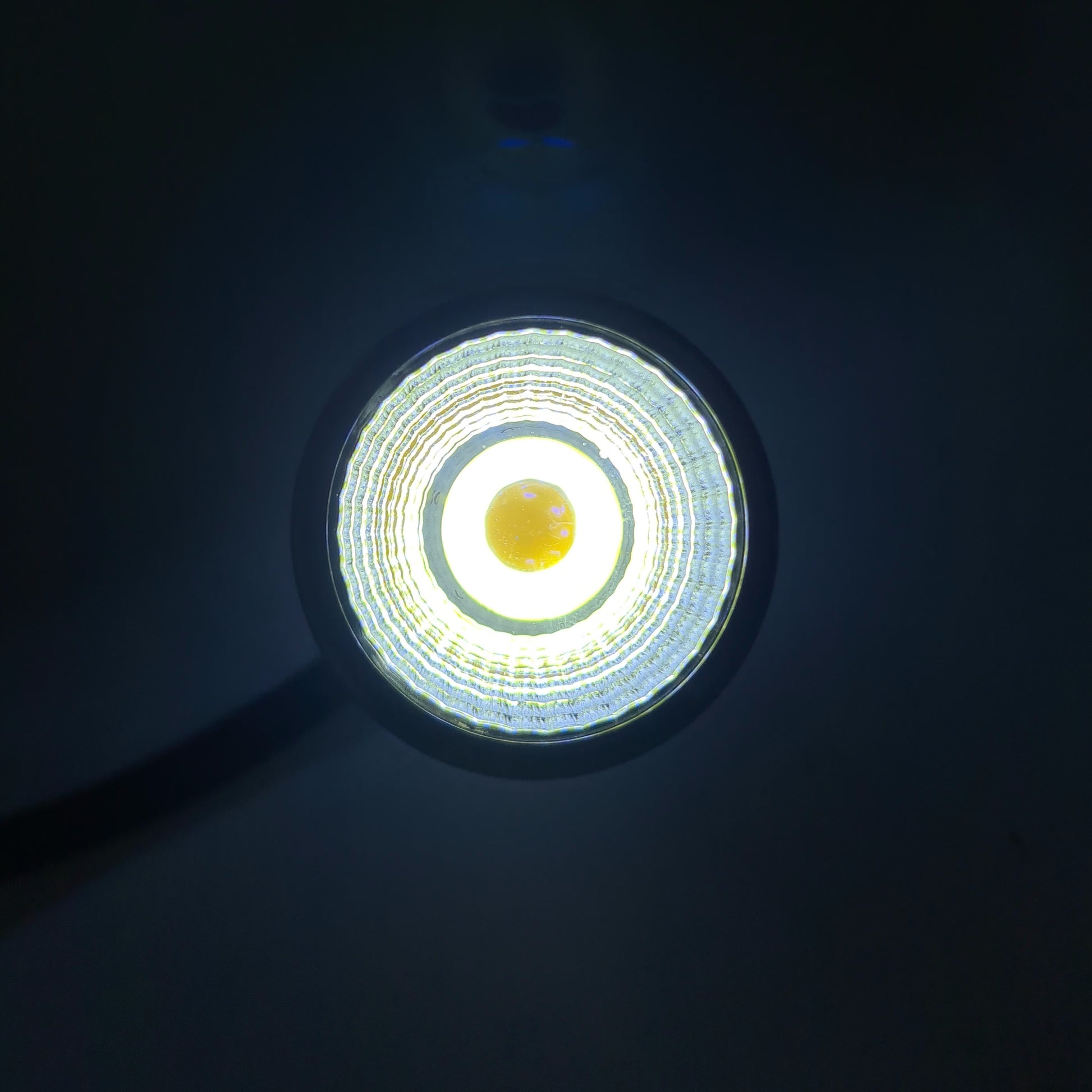 COCO Mini Biotope Led Spotlight by ivenbetta