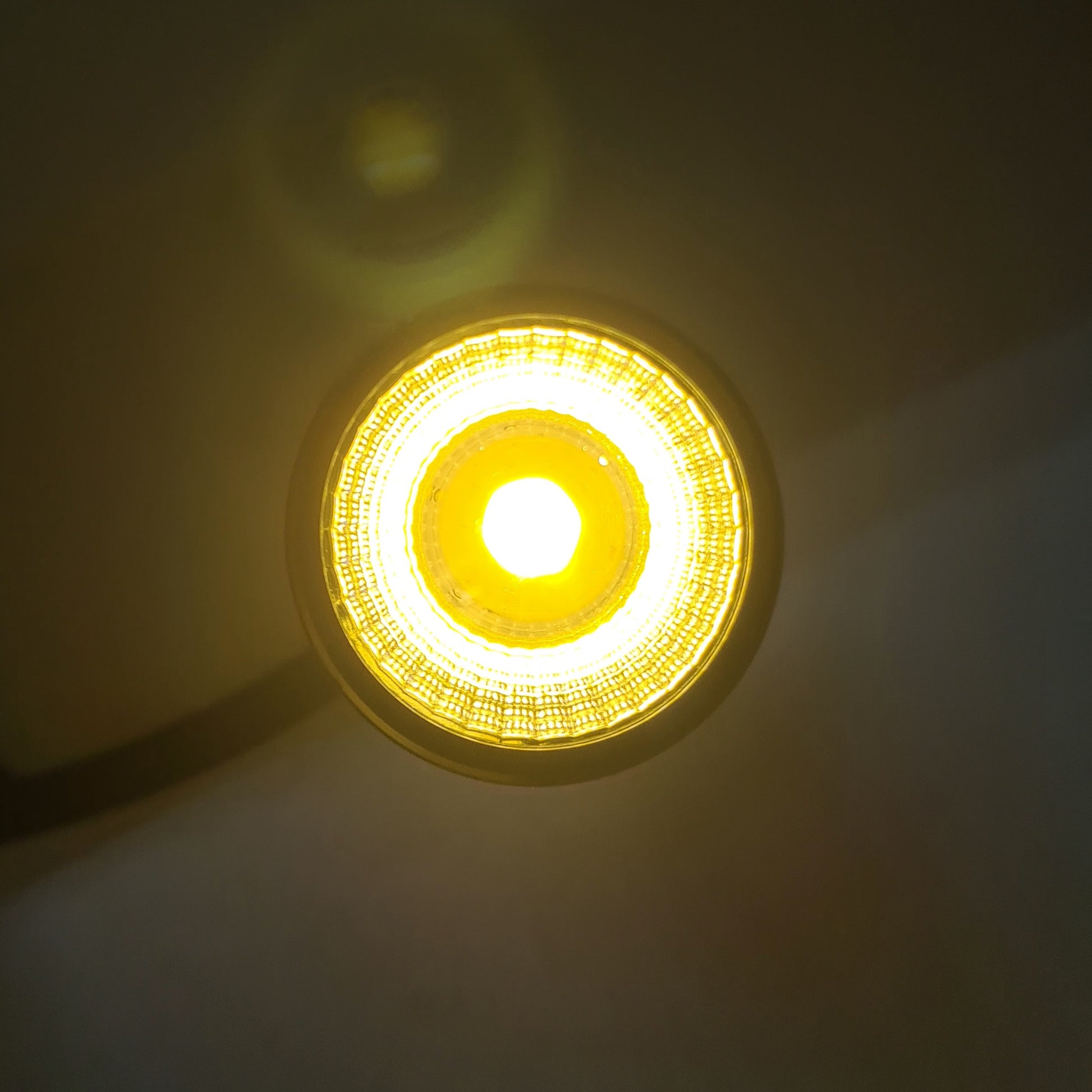 COCO Mini Biotope Led Spotlight by ivenbetta