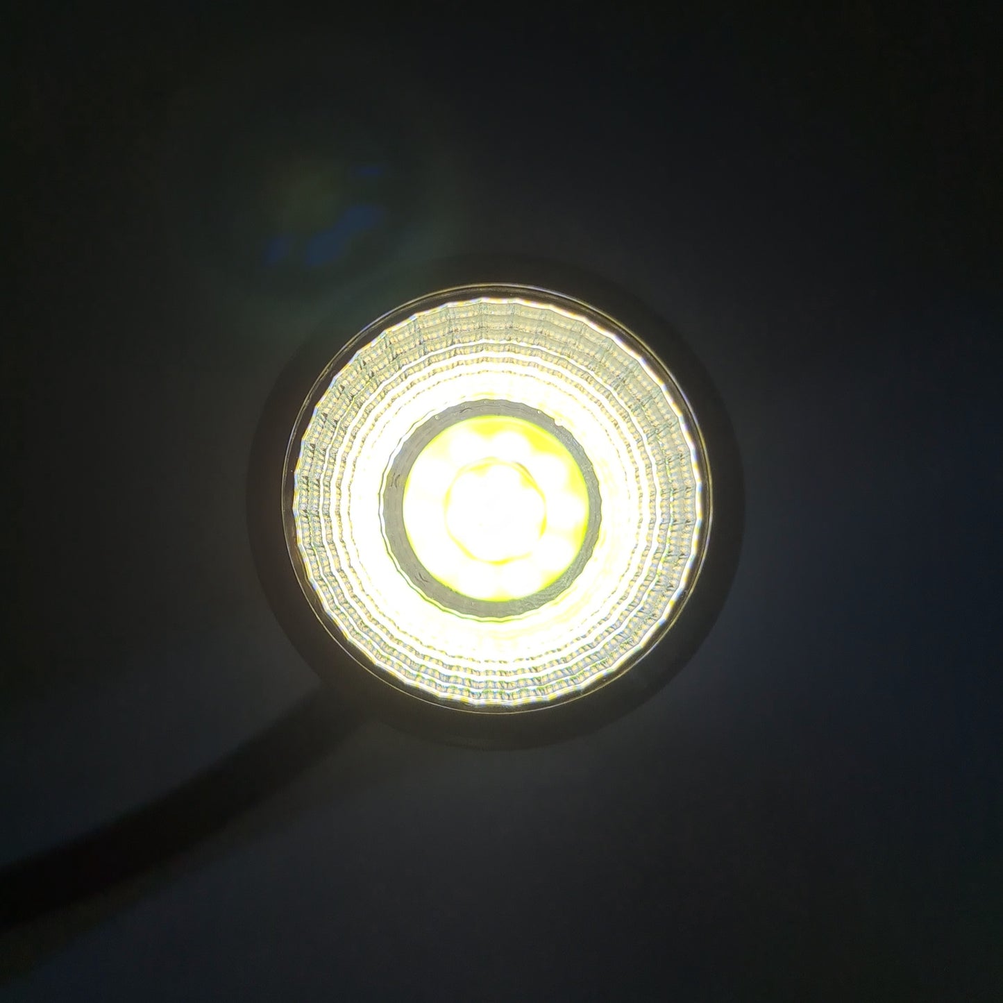 COCO Mini Biotope Led Spotlight by ivenbetta