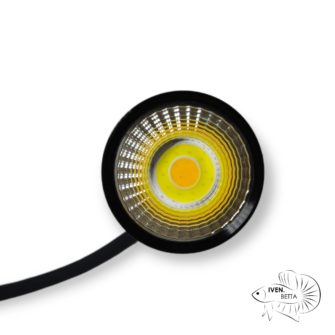 COCO Mini Biotope Led Spotlight by ivenbetta