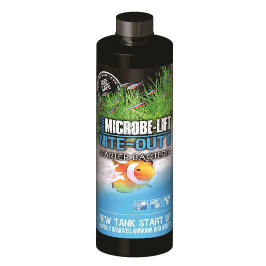 Microbe-Lift Nite-Out II by Iven Betta