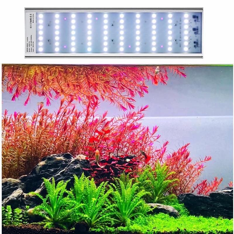 WEEK AQUA L Series RGB-UV LED Light by ivenbetta
