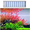 WEEK AQUA L Series RGB-UV LED Light by ivenbetta