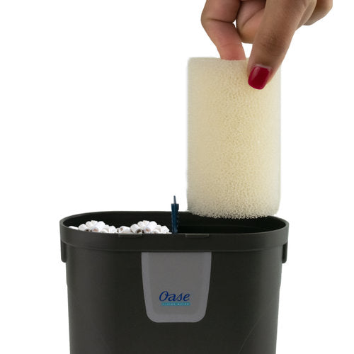 OASE FiltoSmart by Iven Betta