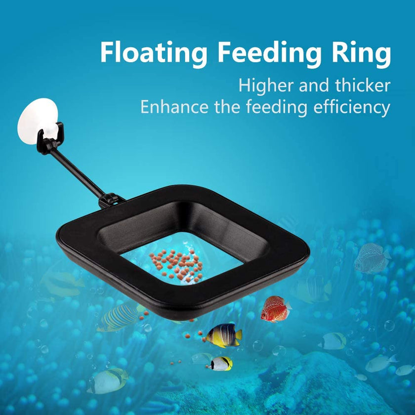 iLONDA Floating Feeding Cup by ivenbetta