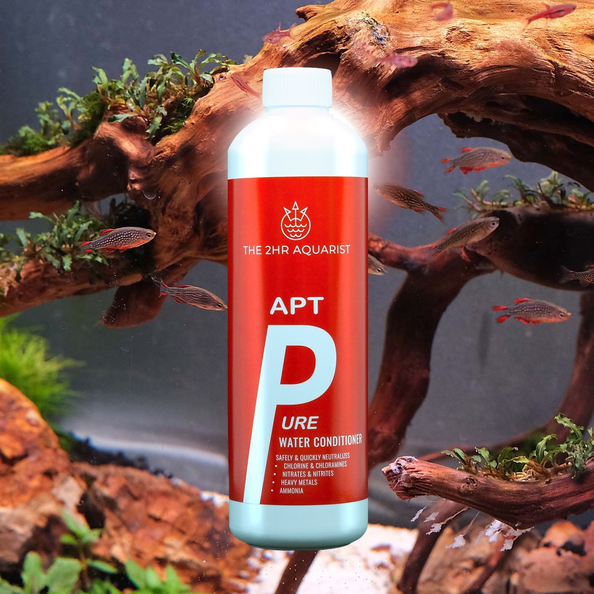 THE 2HR AQUARIST - APT Pure by ivenbetta
