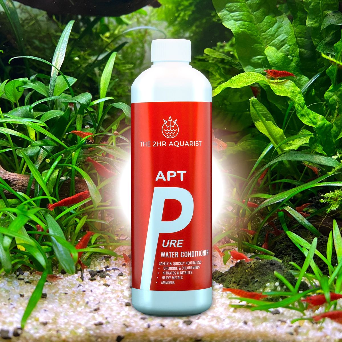 THE 2HR AQUARIST - APT Pure by ivenbetta