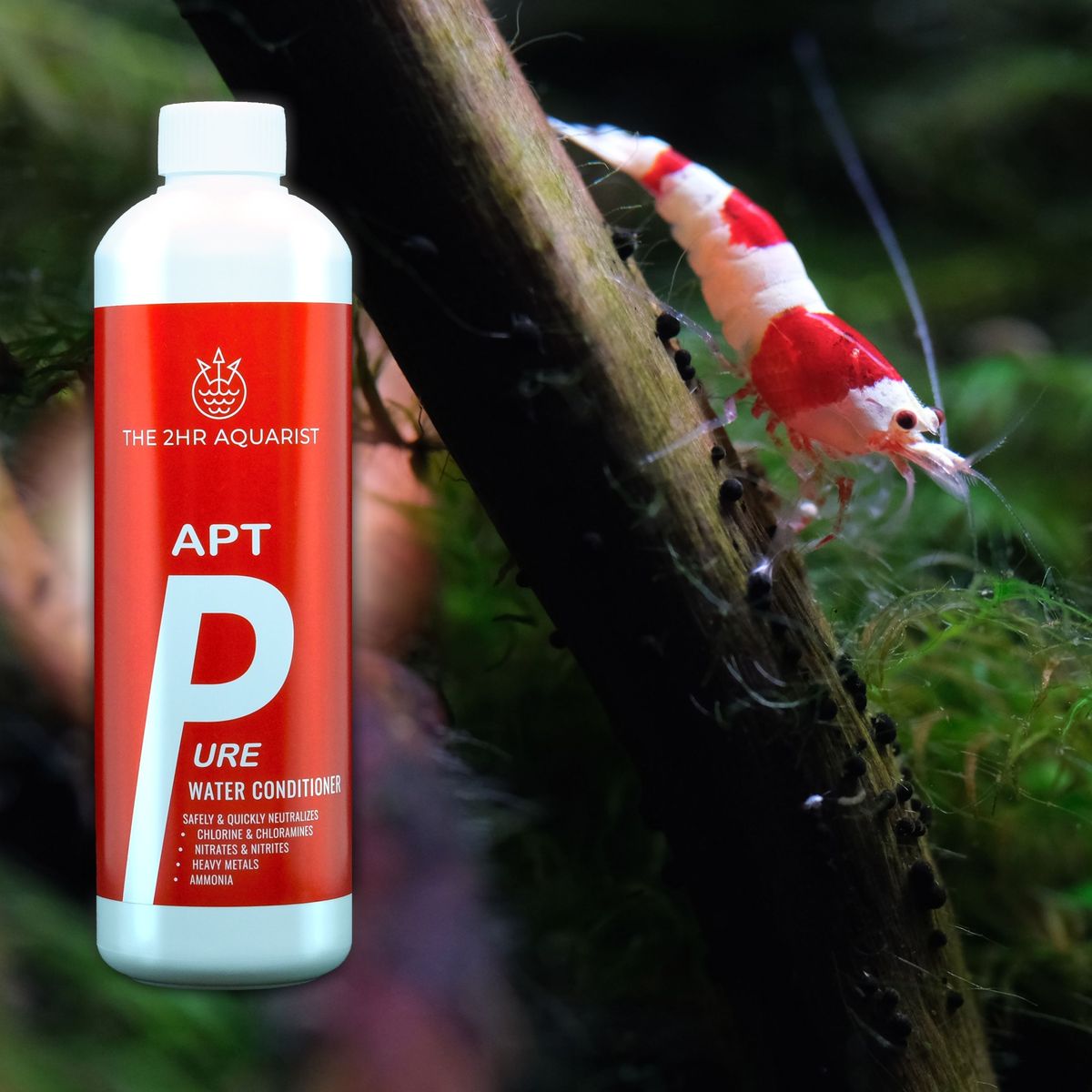 THE 2HR AQUARIST - APT Pure by ivenbetta