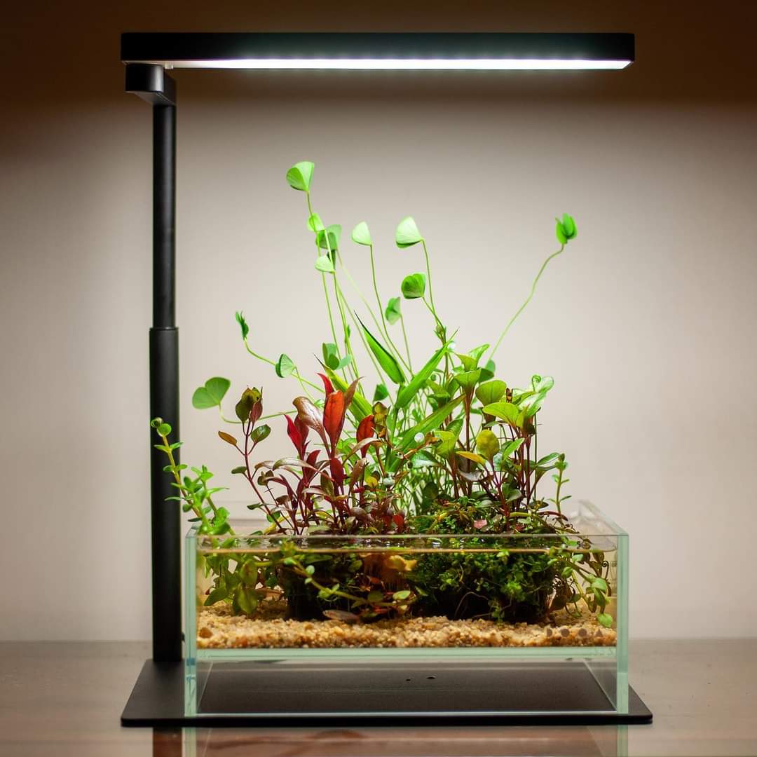 Chihiros CII Series Desktop Base Stand by ivenbetta