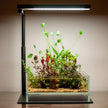 Chihiros CII Series Desktop Base Stand by ivenbetta