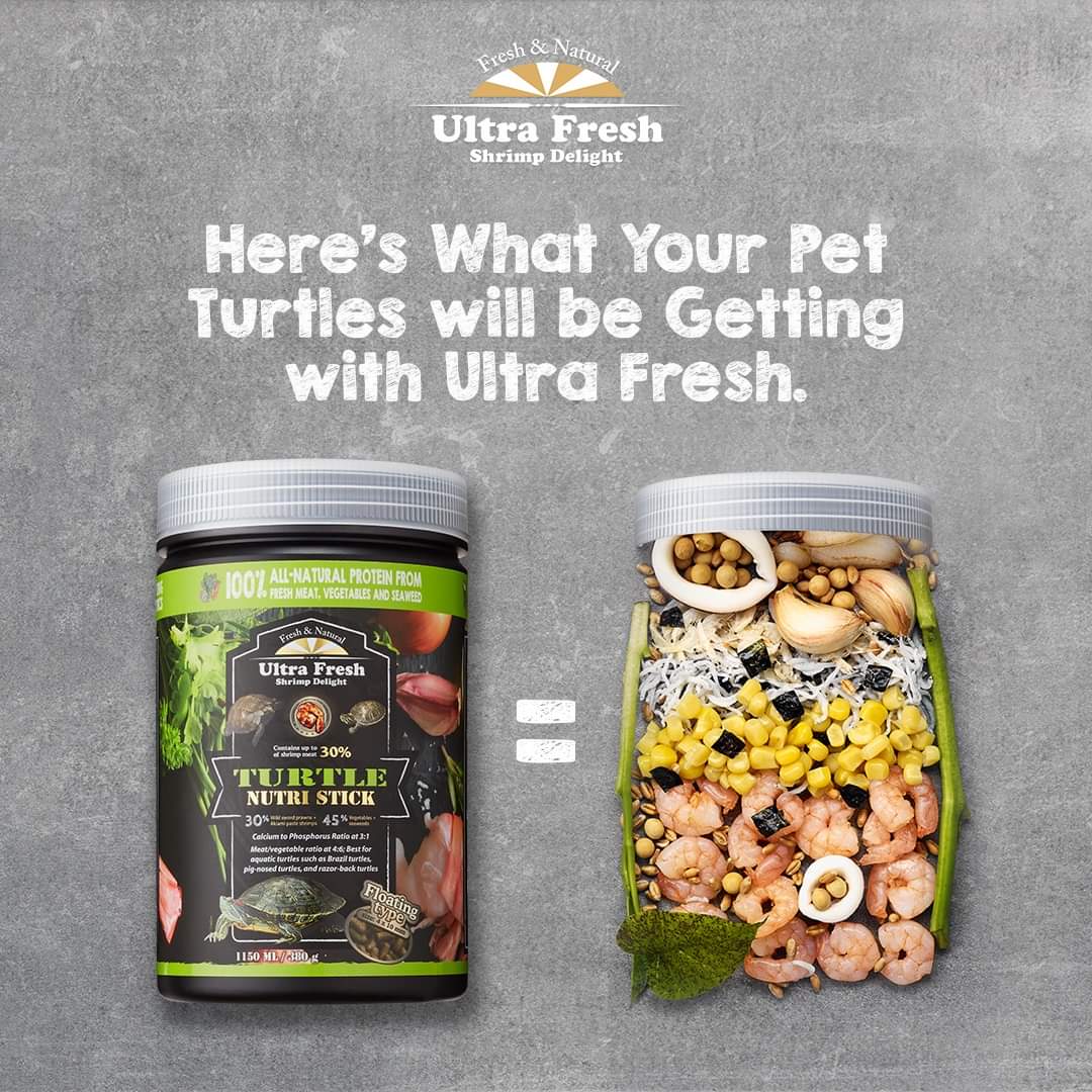 Azoo Ultra Fresh Turtle Nutri Stick by ivenbetta