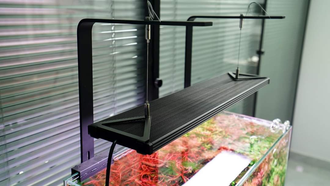 Chihiros WRGBII PRO Series LED Light by ivenbetta