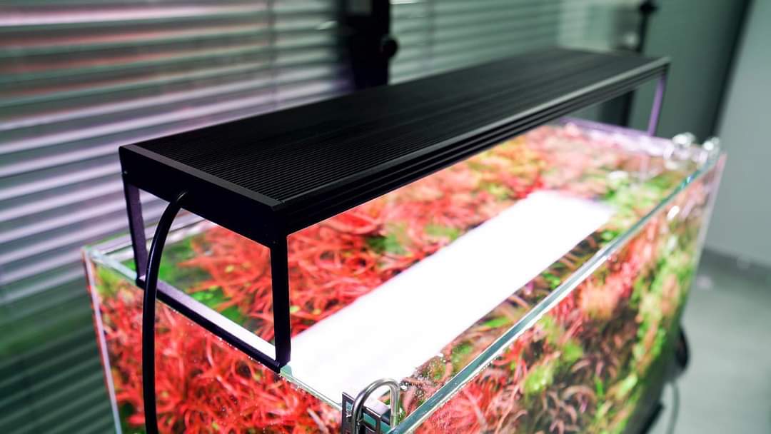 Chihiros WRGBII PRO Series LED Light by ivenbetta