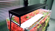 Chihiros WRGBII PRO Series LED Light by ivenbetta