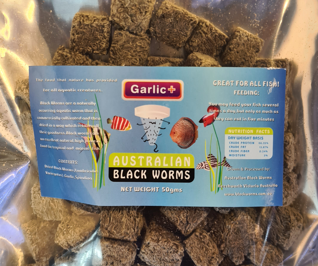 Australian Black Worms - Garlic+ (Cube) by Iven Betta