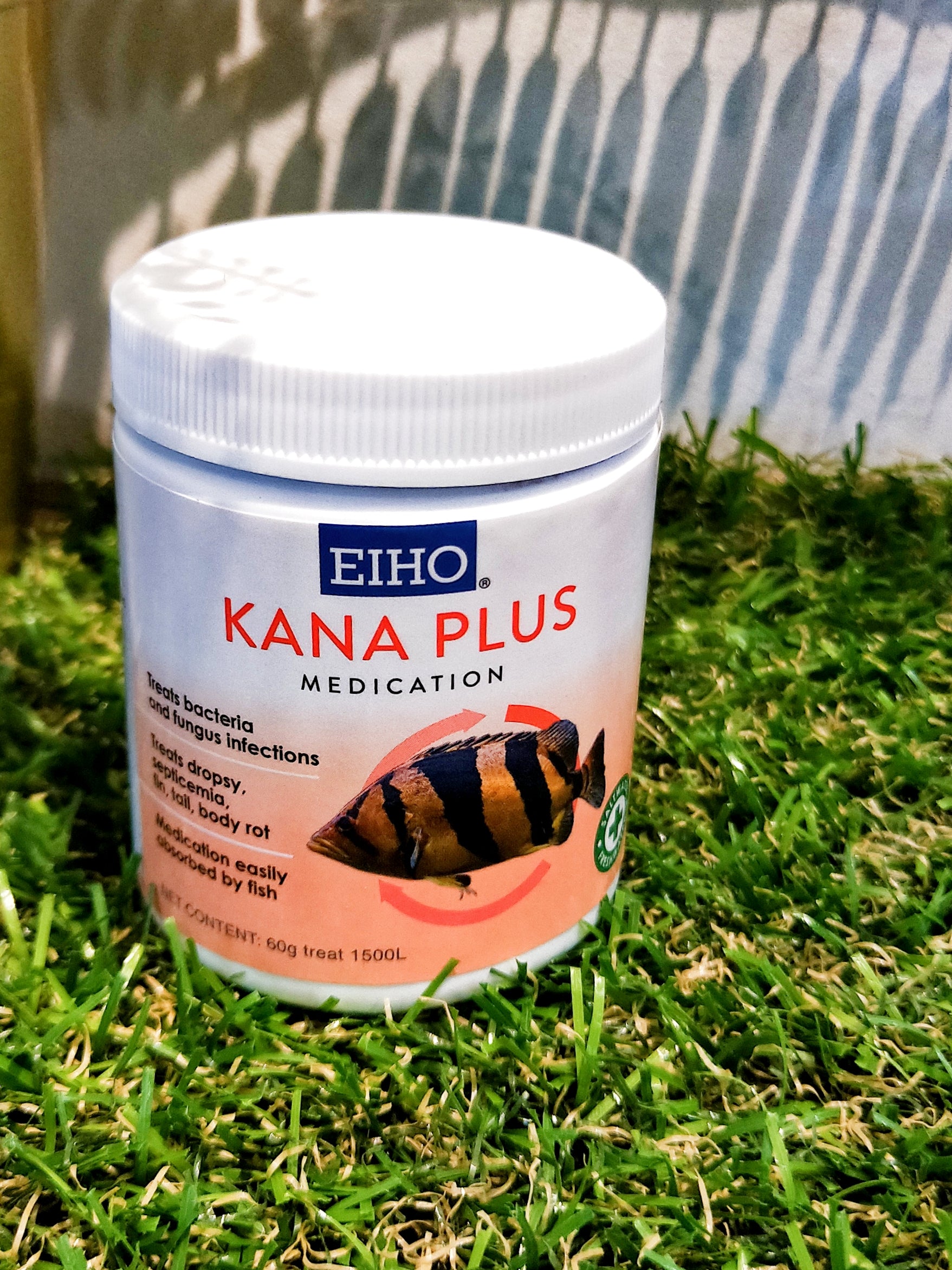 EIHO Kana Plus by EIHO