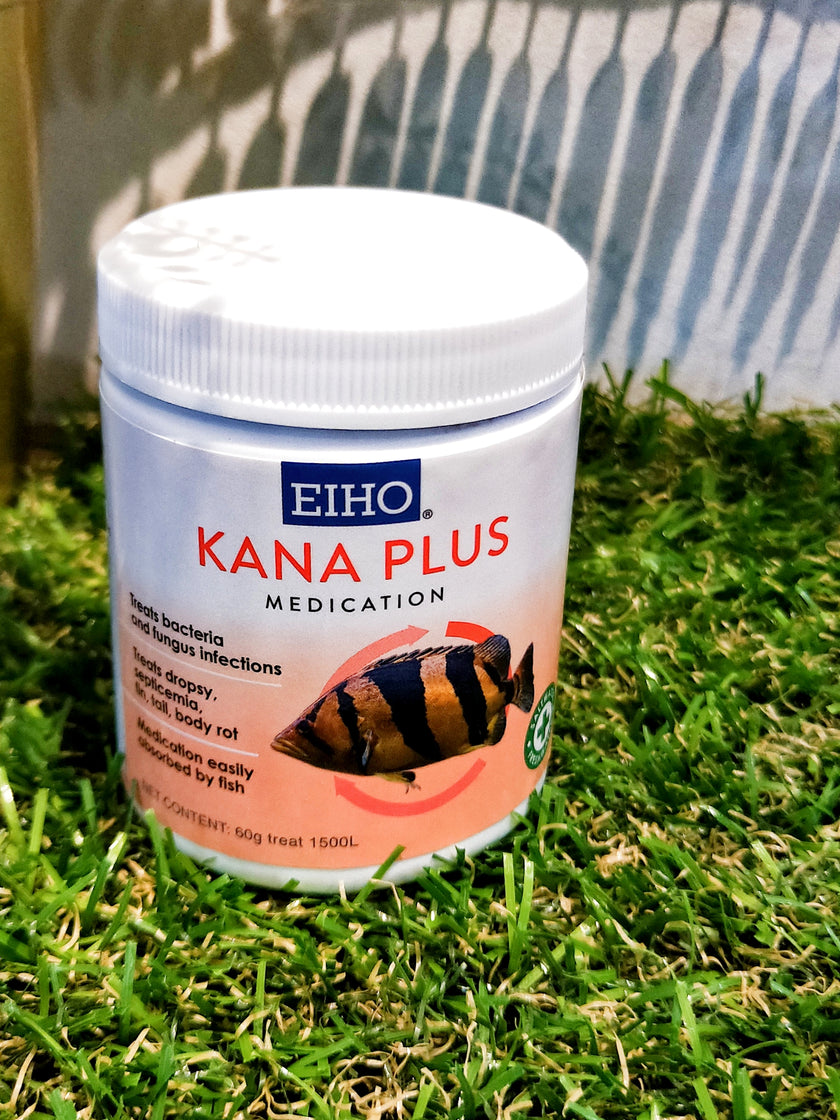 EIHO Kana Plus by EIHO