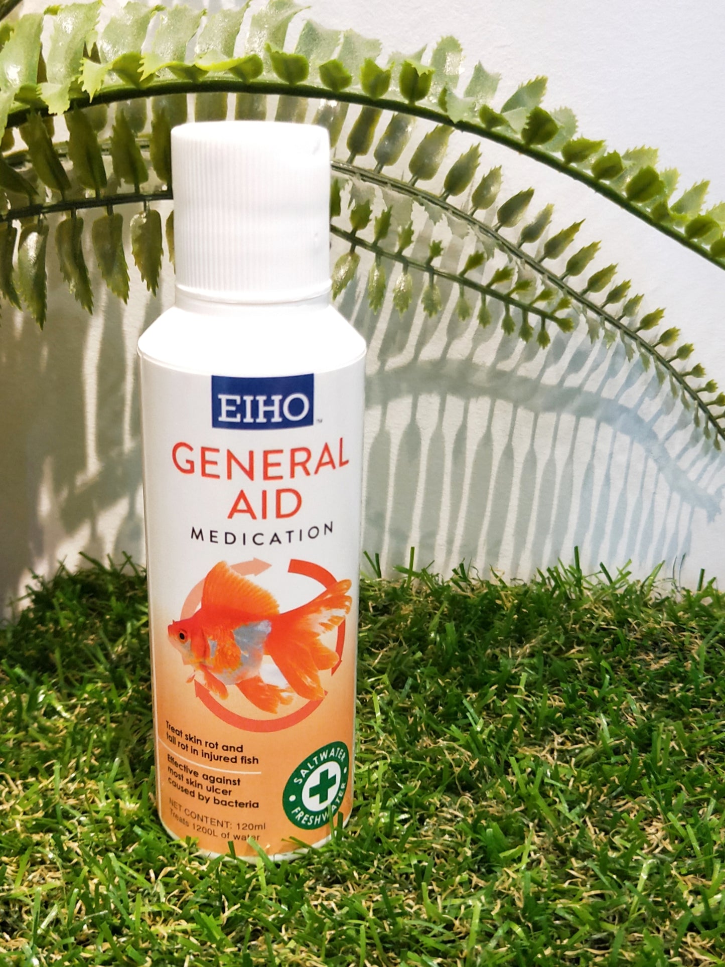 EIHO General Aid by EIHO