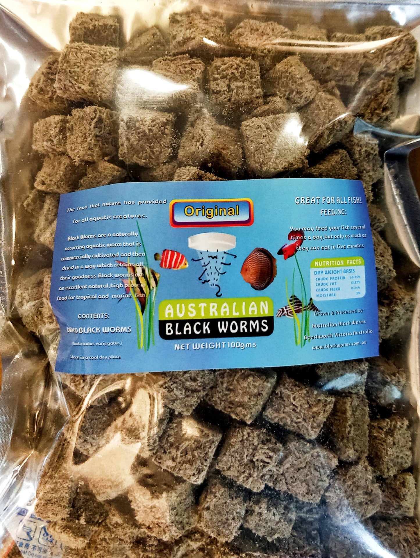Australian Black Worms - Original (Cube) by Iven Betta