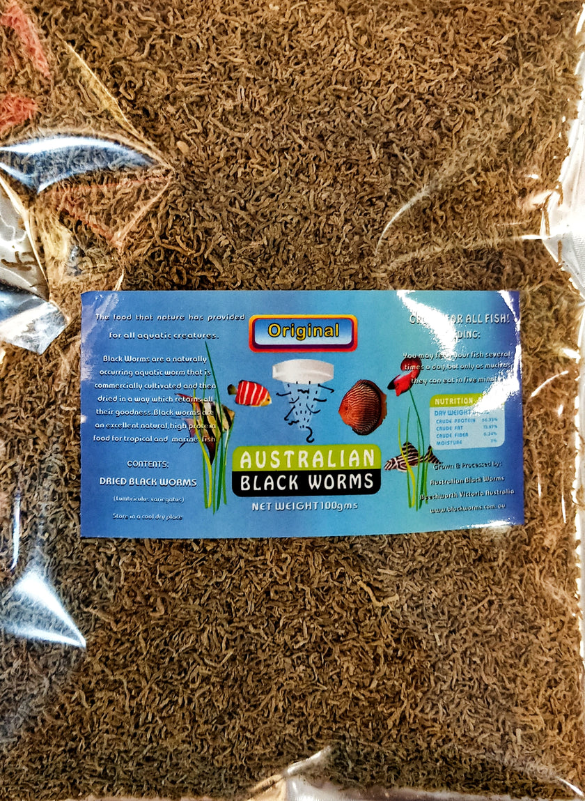 Australian Black Worms - Original (Loose) by Iven Betta