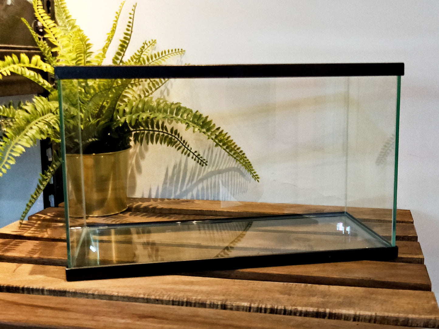 IB Frame Glass Tank by ANS