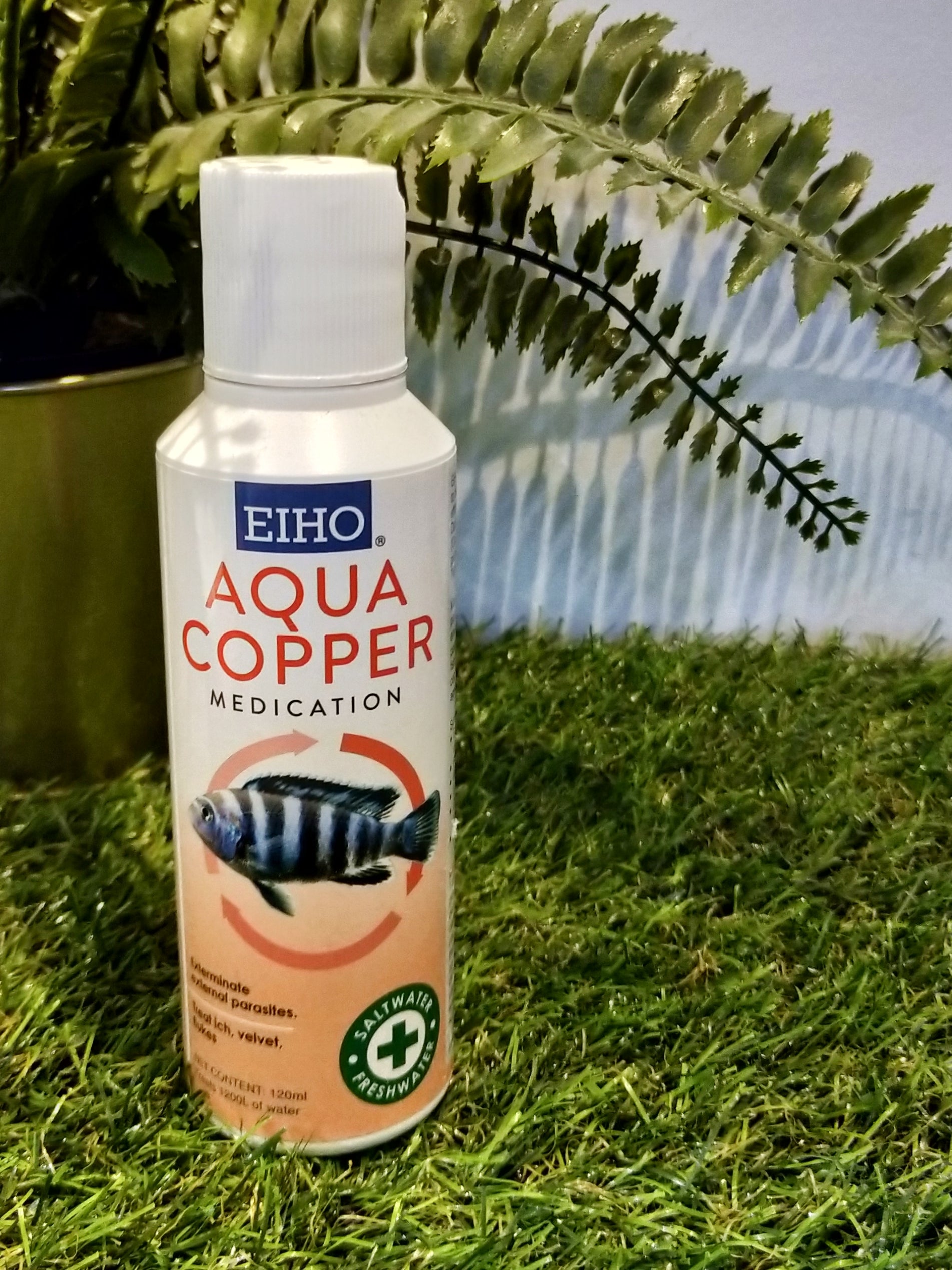EIHO Aqua Copper by EIHO